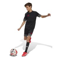 adidas Squadra 25 Torwarttrikot Kinder - schwarz/grau/rot