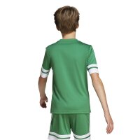 adidas Squadra 25 Trikot Kinder - grün/weiß