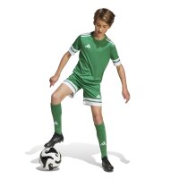 adidas Squadra 25 Trikot Kinder - grün/weiß