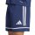 adidas Squadra 25 Shorts Herren - navy