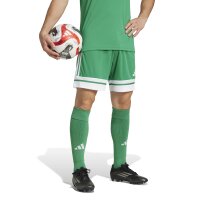 adidas Squadra 25 Shorts Herren - grün/weiß