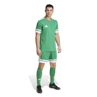 adidas Squadra 25 Shorts Herren - grün/weiß