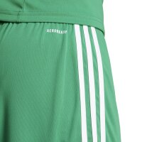 adidas Squadra 25 Shorts Herren - grün/weiß