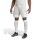 adidas Squadra 25 Shorts Herren - grau/weiß