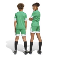 adidas Squadra 25 Shorts Kinder - grün/weiß