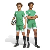 adidas Squadra 25 Shorts Kinder - grün/weiß