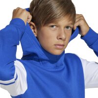 adidas Squadra 25 Sweat Hoodie Kinder - blau/weiß