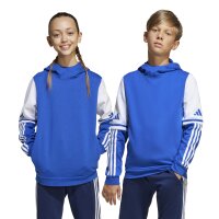 adidas Squadra 25 Sweat Hoodie Kinder - blau/weiß