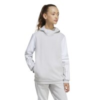 adidas Squadra 25 Sweat Hoodie Kinder - grau/weiß