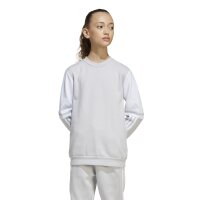 adidas Squadra 25 Crew Sweatshirt Kinder - grau/weiß