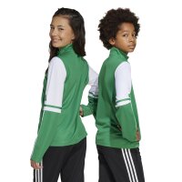adidas Squadra 25 Trainingsshirt Kinder - grün/weiß