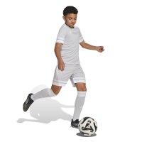adidas Squadra 25 Shorts Kinder - grau/weiß