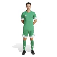 adidas Squadra 25 Trikot Herren - grün/weiß