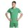 adidas Squadra 25 Trikot Herren - grün/weiß
