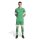 adidas Squadra 25 Trikot Herren - grün/weiß