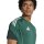 adidas Tiro 25 Competition Trainingstrikot Herren - grün/weiß