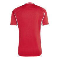 adidas Tiro 25 Competition Match Trikot Herren -...