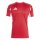adidas Tiro 25 Competition Match Trikot Herren - rot/weiß