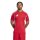 adidas Tiro 25 Competition Match Trikot Herren - rot/weiß