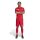 adidas Tiro 25 Competition Match Trikot Herren - rot/weiß
