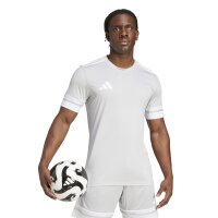 adidas Squadra 25 Trikot Herren - grau/weiß