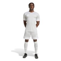 adidas Squadra 25 Trikot Herren - grau/weiß