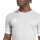 adidas Squadra 25 Trikot Herren - grau/weiß