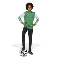 adidas Squadra 25 Full-Zip Hoodie Kinder - grün/weiß