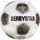Derbystar Brillant APS v25 Fußball - weiss/gold/silber