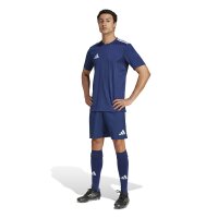 adidas Campeon 25 Trikot Herren - blau/weiß