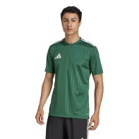 adidas Campeon 25 Trikot Herren - grün/weiß