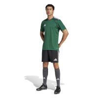 adidas Campeon 25 Trikot Herren - grün/weiß