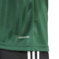 adidas Campeon 25 Trikot Herren - grün/weiß