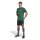 adidas Campeon 25 Trikot Herren - grün/weiß