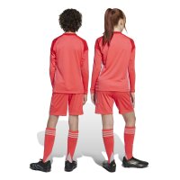 adidas Tiro 24 Shorts Kinder - hellrot/weiß