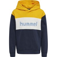 hummel Hmlmorten Hoodie Jungen - saffron
