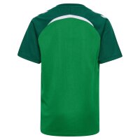 hummel hmlLEAD 2.0 Trikot kurzarm Kinder - jelly...