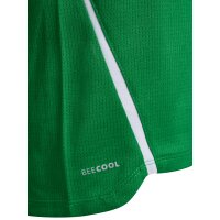 hummel hmlLEAD 2.0 Trikot kurzarm Kinder - jelly bean/evergreen