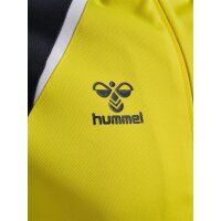 hummel Hmllead 2.0 Zip Hoodie Herren - blazing yellow/black