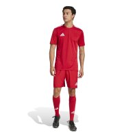 adidas Campeon 25 Trikot Herren - rot/weiß