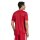 adidas Campeon 25 Trikot Herren - rot/weiß