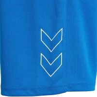 hummel Hmlte Flex Mesh Shorts Herren - daphne