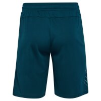 hummel Hmlte Flex Mesh Shorts Herren - reflecting pond