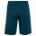 hummel Hmlte Flex Mesh Shorts Herren - reflecting pond