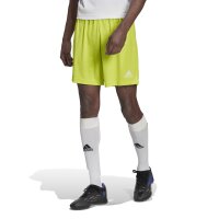 adidas Entrada 22 Shorts Herren - grün