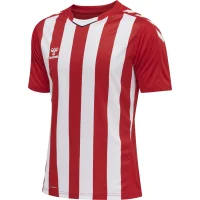 hummel hmlCore XK Striped Trikot kurzarm Herren - true...