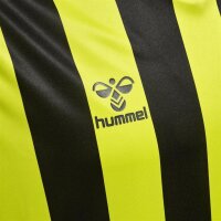hummel Core XK Striped Trikot kurzarm Herren - lime popsicle/black