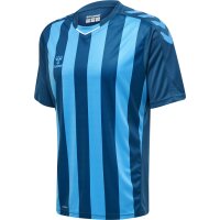 hummel Core XK Striped Trikot kurzarm Herren - blue coral/blue danube