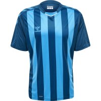 hummel Core XK Striped Trikot kurzarm Herren - blue coral/blue danube