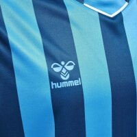 hummel Core XK Striped Trikot kurzarm Herren - blue coral/blue danube